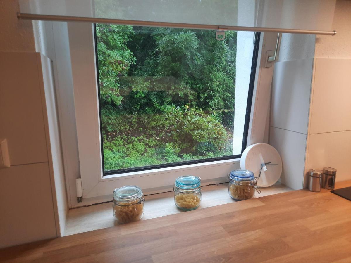 Precioso Apartamento, Aparcamiento Gratis Augustusburg Dış mekan fotoğraf
